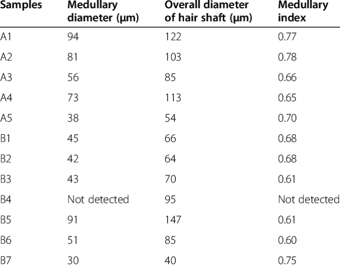 Medullary index of human hair