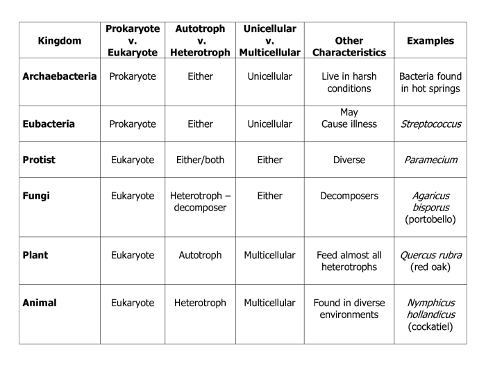 Six kingdoms coloring worksheet answer key pdf